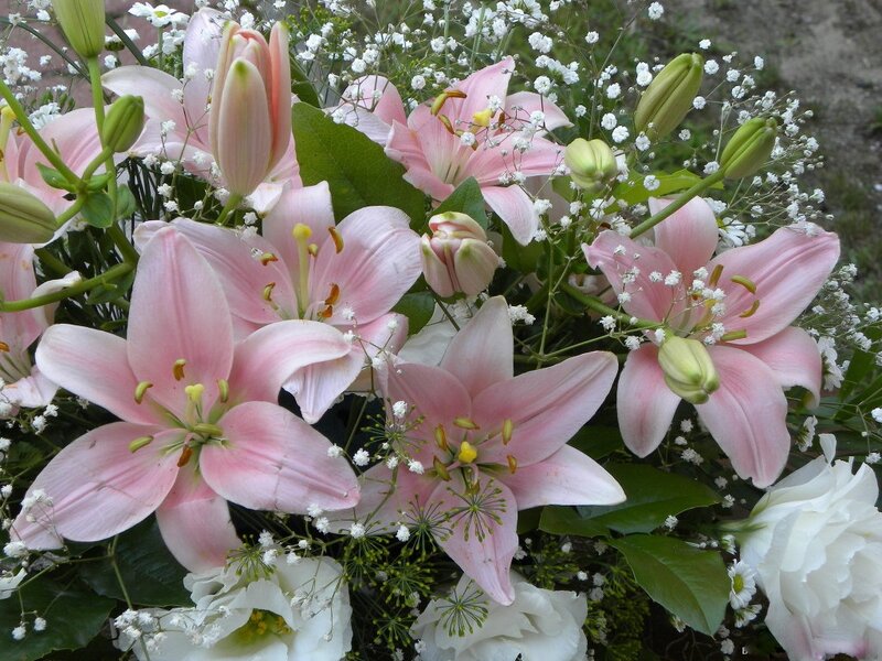 Pink Lilies Bouquet — Calm, Spring