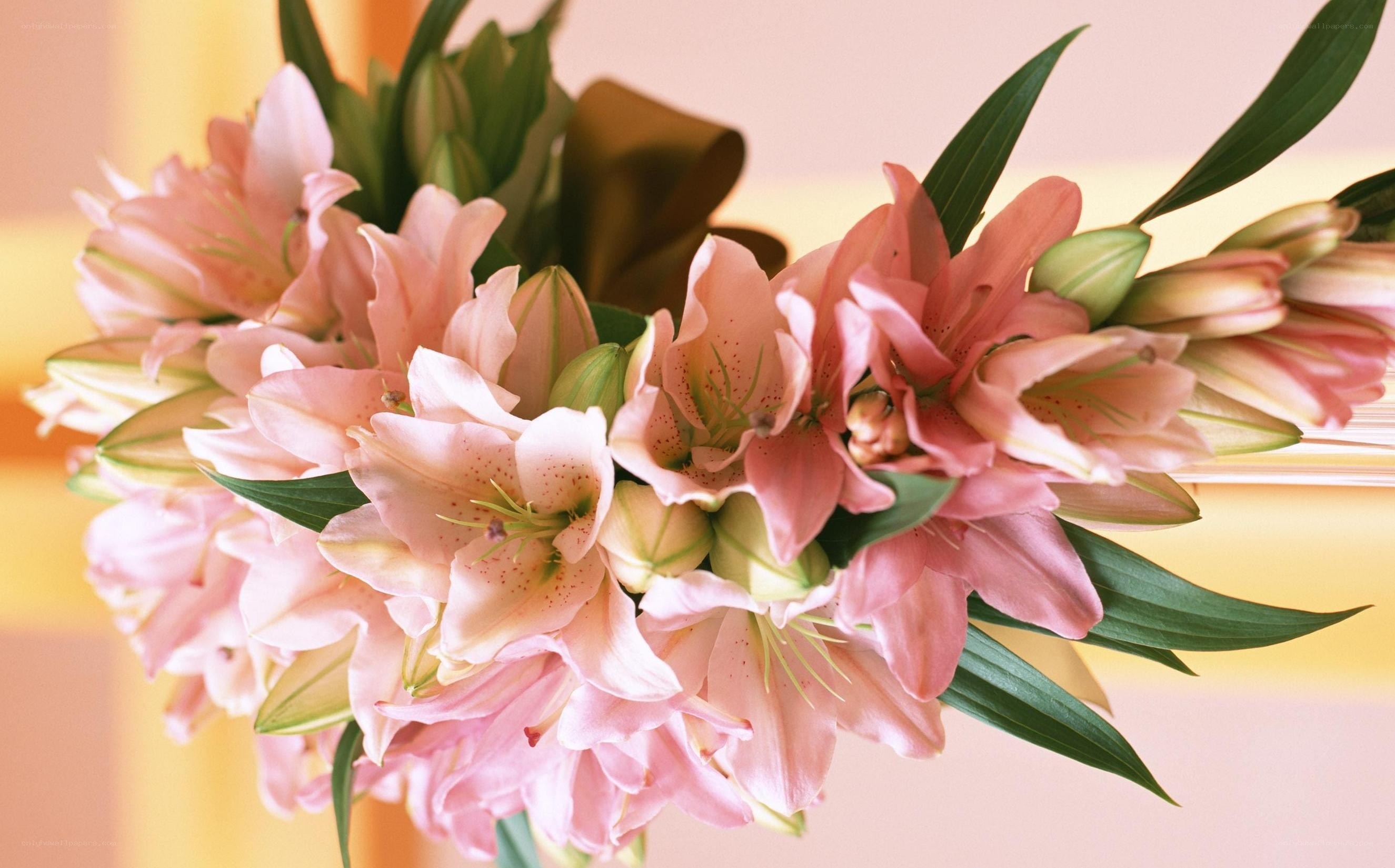 Pink lilies bouquet