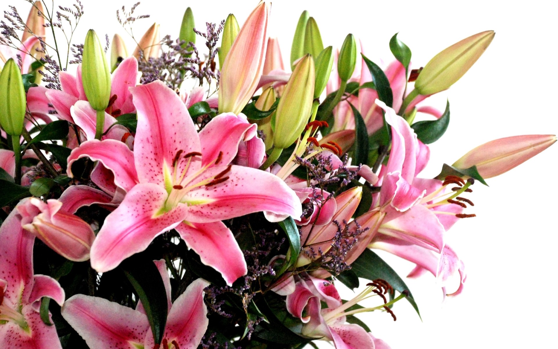 Pink lilies in a bouquet