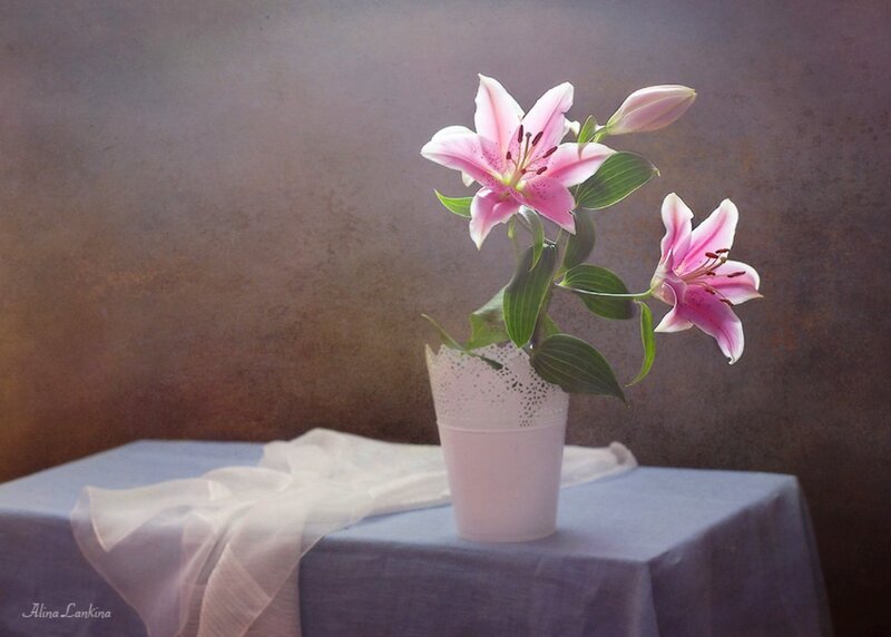 Pink Lilies in a Vase — Serene