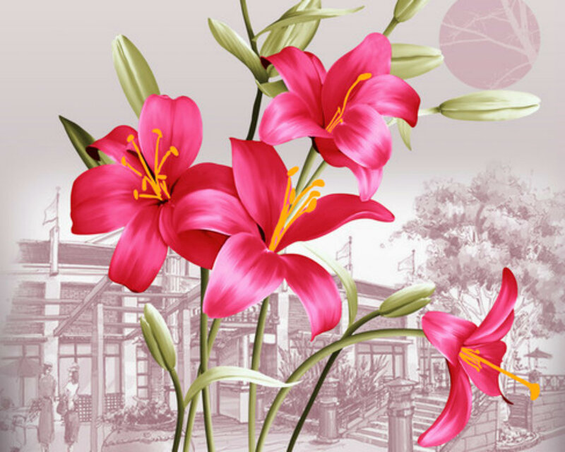 Pink Lilies in Bloom — Serene, Illustration