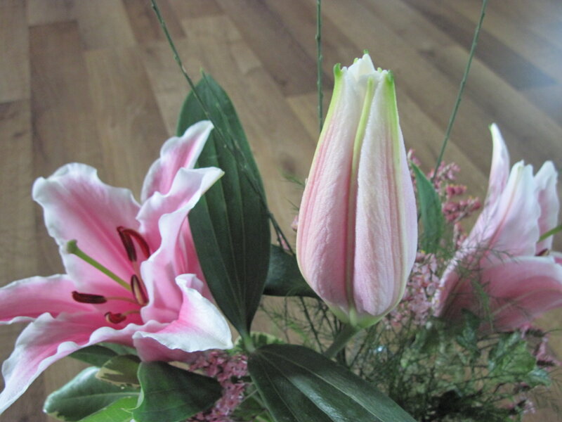 Pink Lilies in Bouquet — Calm, Photograph, Leaves