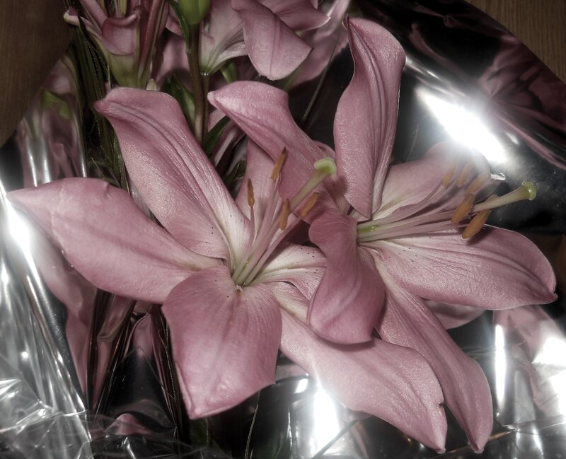 Pink Lilies in Bouquet