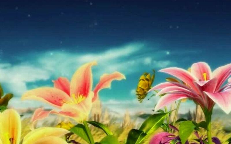Pink Lilies in Field — Serene