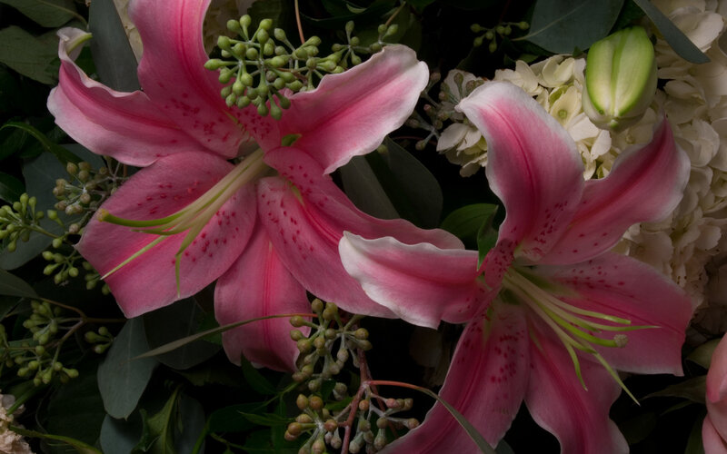 Pink lilies in floral arrangement