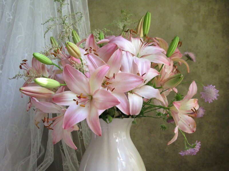 Pink Lilies in Vase — Serene, Photograph, Curtain