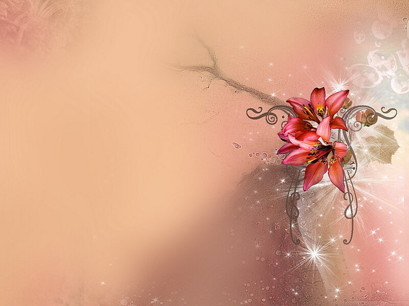 Pink Lilies on Branch