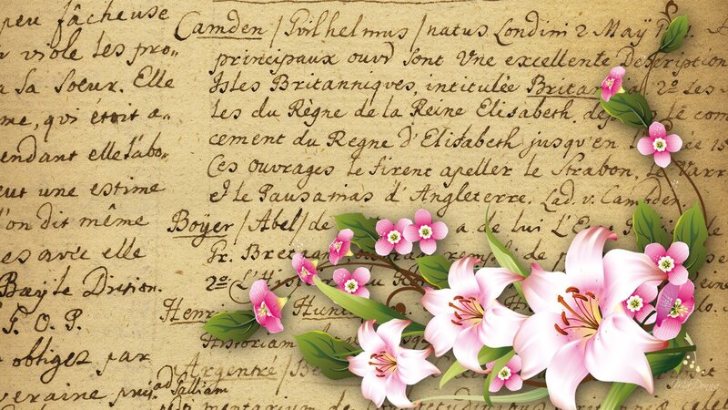 Pink Lilies on Parchment