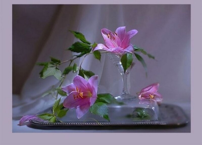 Pink Lilies on Tray