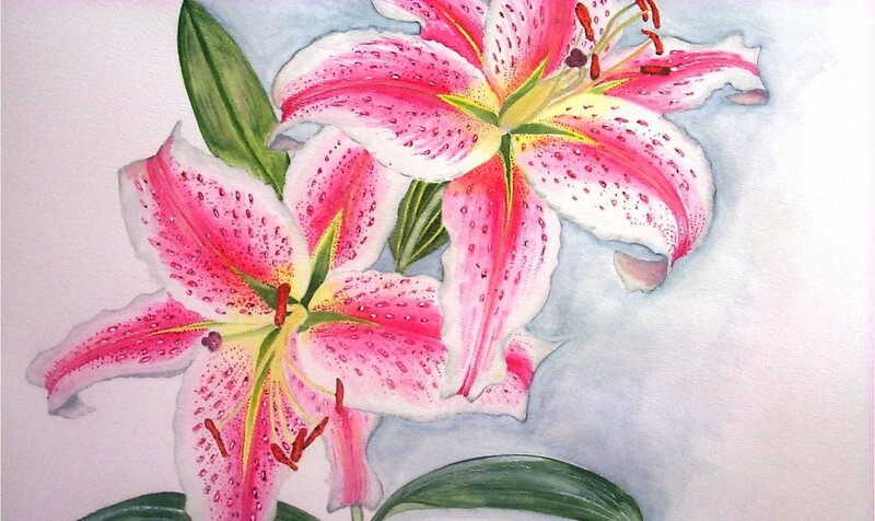 Pink lilies watercolor painting