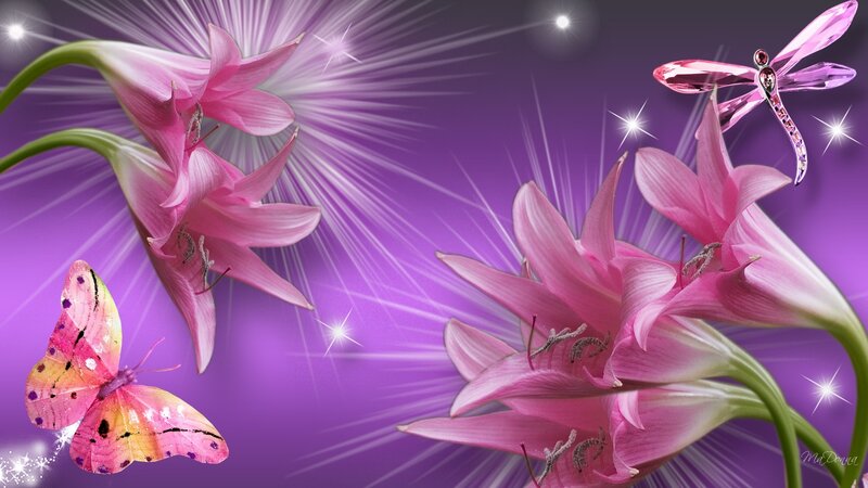 Pink Lilies with Insects