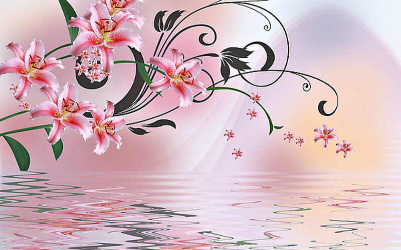 Pink Lilies with Reflection — Serene