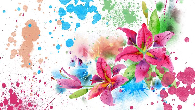 Pink Lilies with Splatters