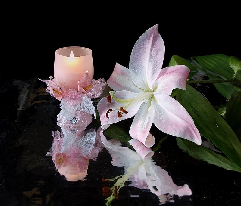 Pink Lily and Candle — Serene, Night