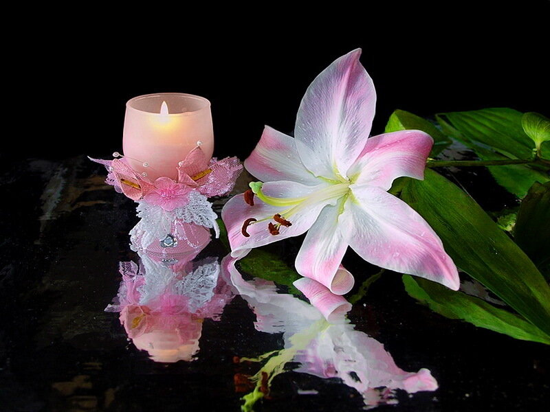 Pink Lily and Candle — Serene