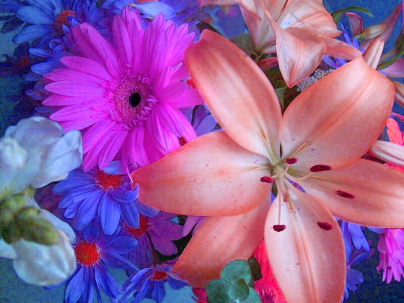 Pink Lily and Purple Daisies