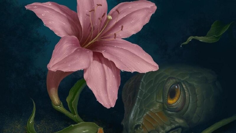 Pink Lily and Reptile