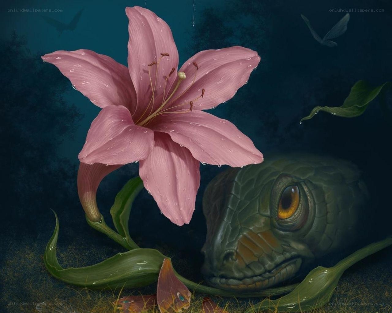 Pink lily and snake in dark setting