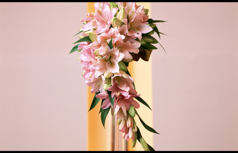 Pink Lily Bouquet — Calm, Photograph, Flowers, Leaves