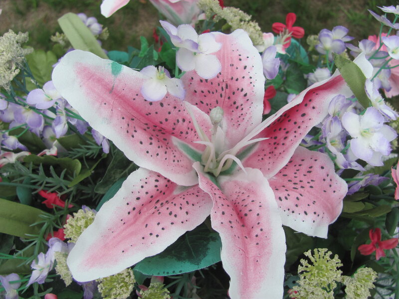 Pink Lily Flower — Calm, Spring, Photograph, Purple Flowers