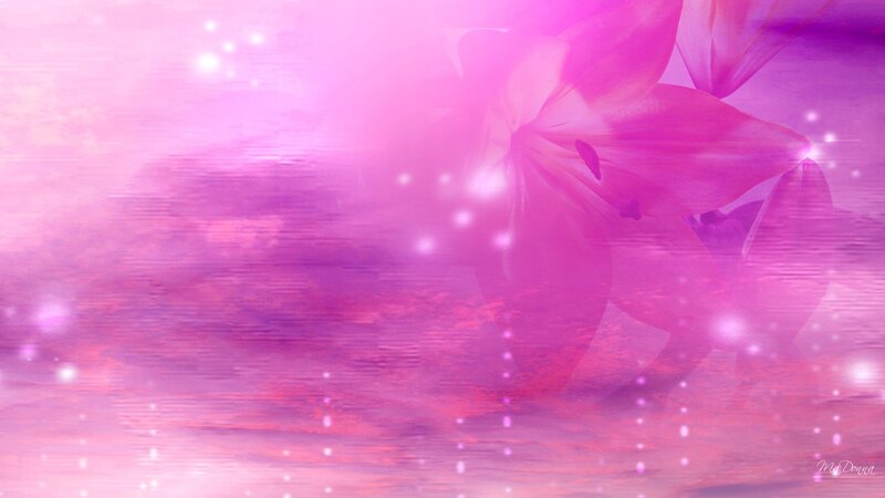 Pink Lily Flower — Dreamy