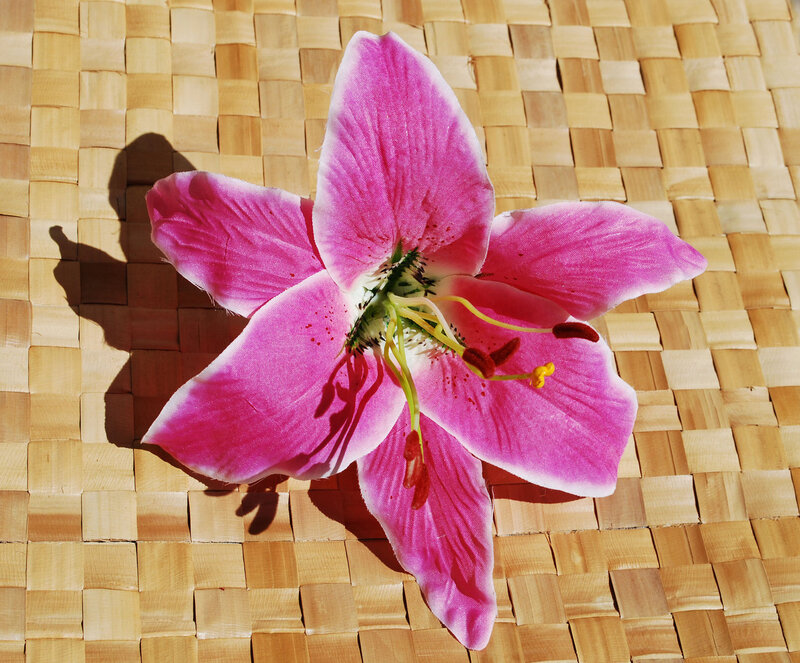 Pink Lily Flower — Serene, Afternoon, Photograph, Woven Mat