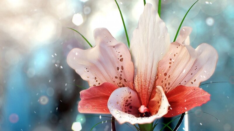 Pink Lily Flower — Serene, Digital Art, Petals