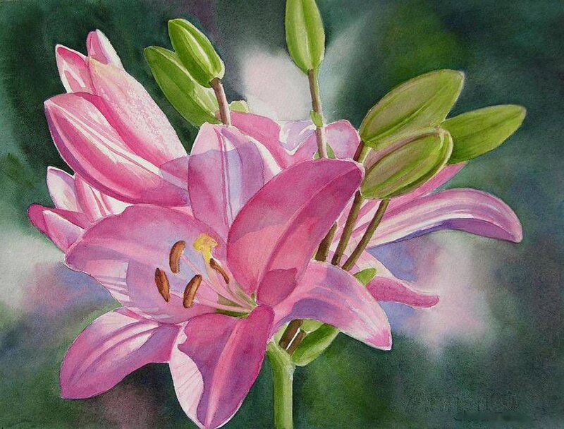 Pink Lily Flower — Serene, Painting