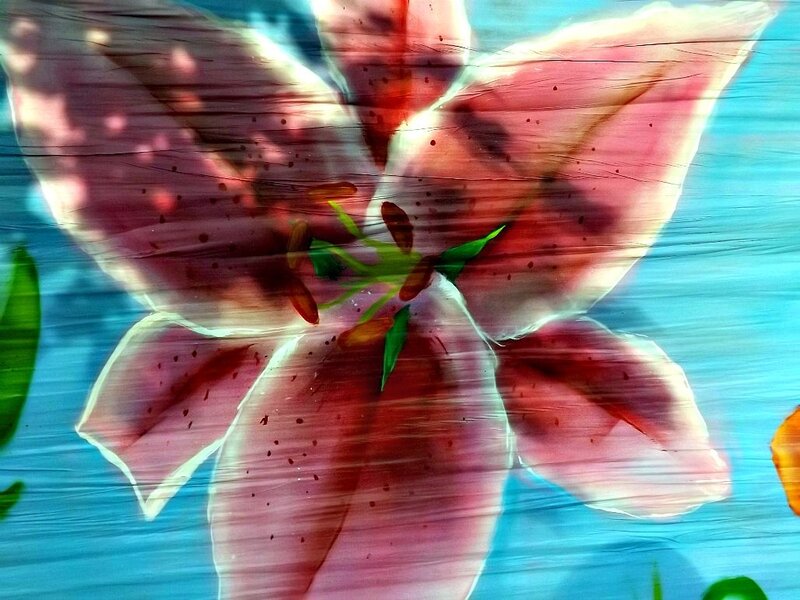 Pink Lily Flower — Vibrant, Digital Art, Green Leaves, Blue Background
