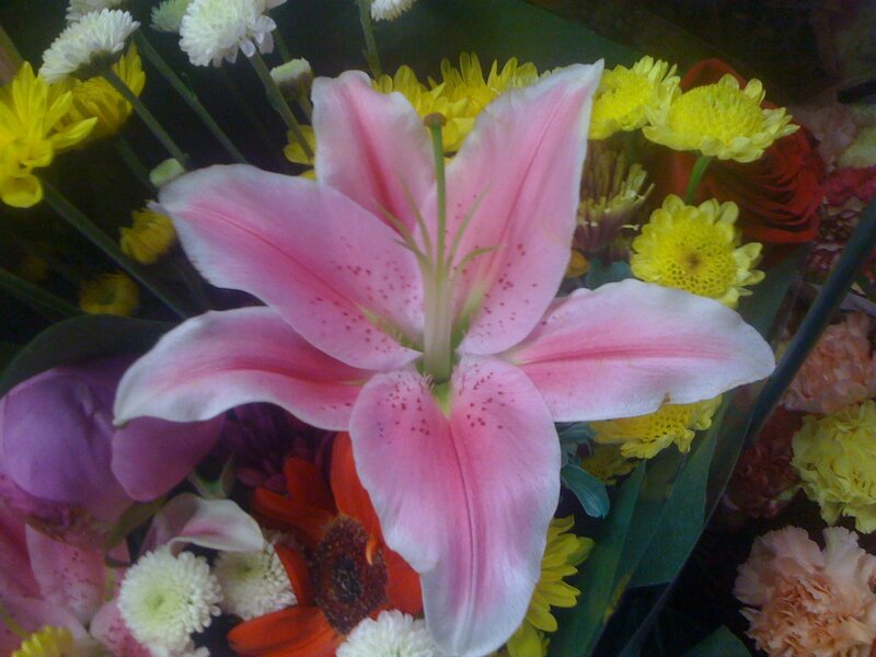 Pink lily in a flower bouquet