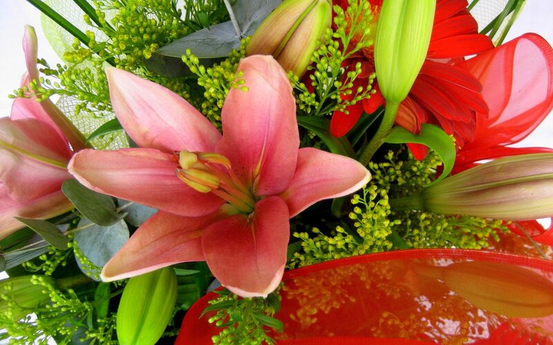 Pink Lily in Bouquet — Vibrant