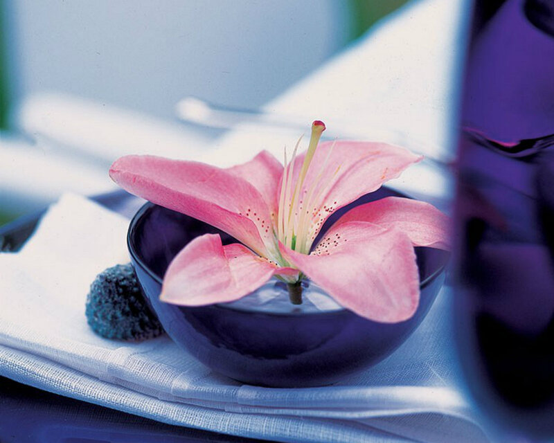 Pink Lily in Bowl