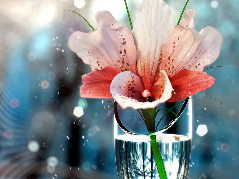 Pink Lily in Glass