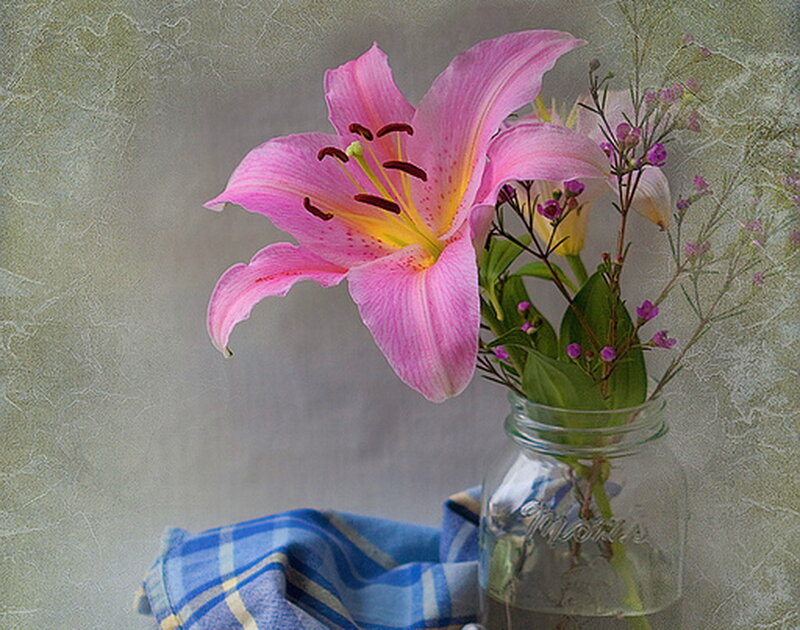 Pink Lily in Jar