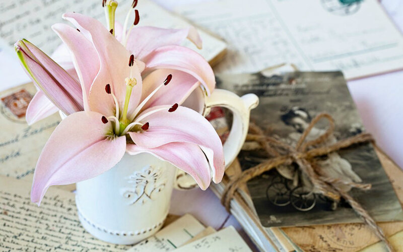 Pink Lily in White Vase