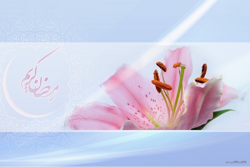 Pink lily with Ramadan text