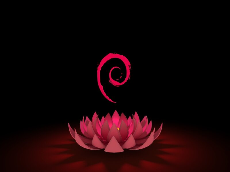 Pink Lotus Flower — Black, Serene