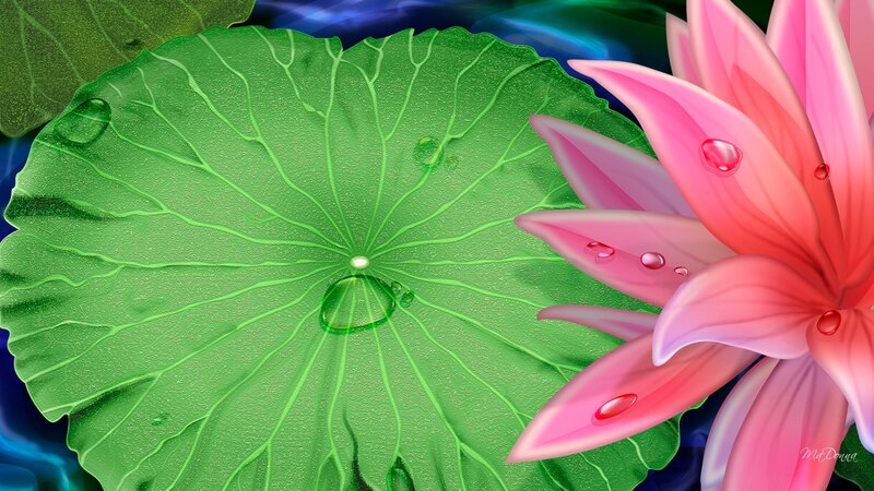 Pink Lotus Flower — Green, Serene, Digital Art, Lotus Leaf