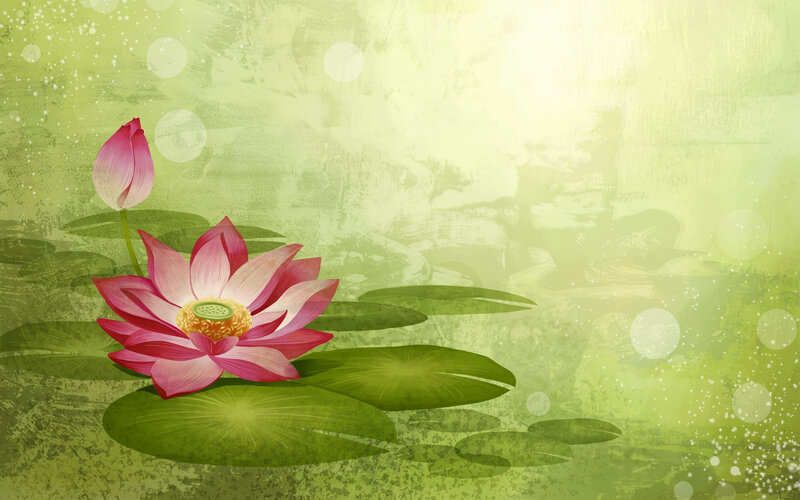 Pink Lotus Flower — Green, Serene, Morning, Digital Art