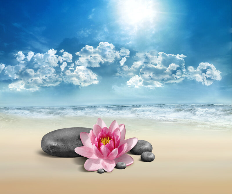 Pink Lotus Flower on Beach — Blue