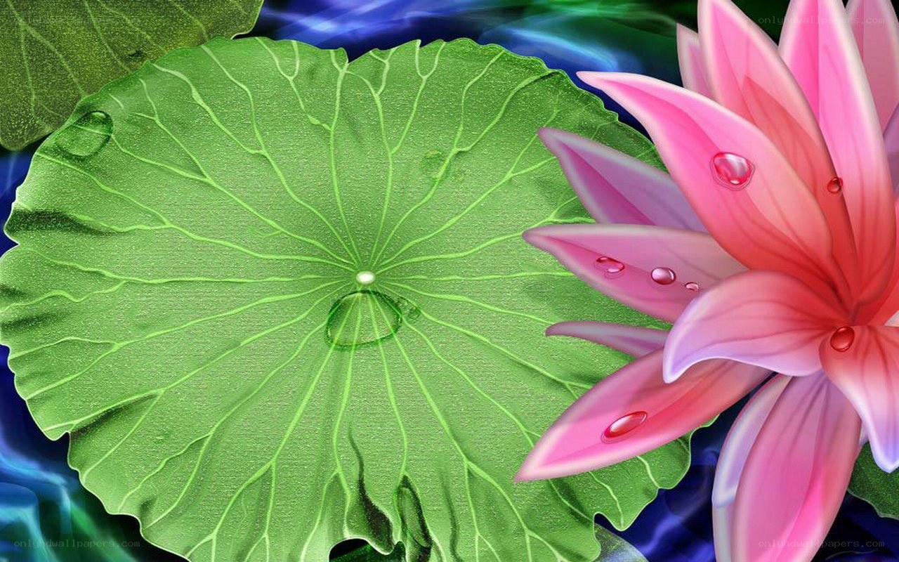 pink lotus flower on green leaf