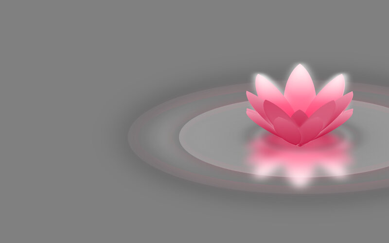 Pink lotus flower on water