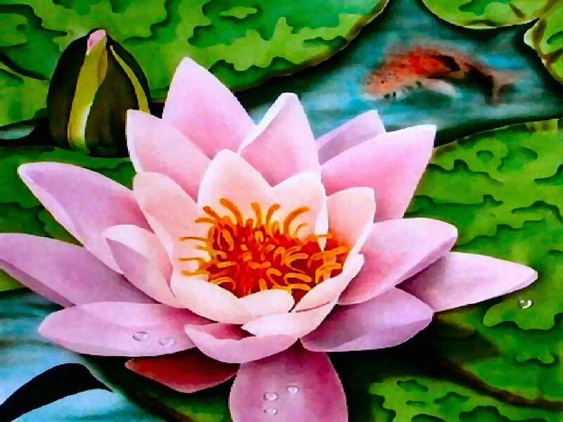 Pink lotus flower painting