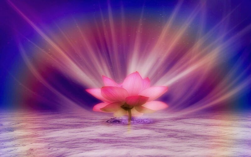 Pink Lotus Flower — Purple, Serene, Digital Art, Light Rays