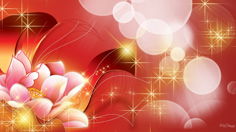 Pink Lotus Flower — Red