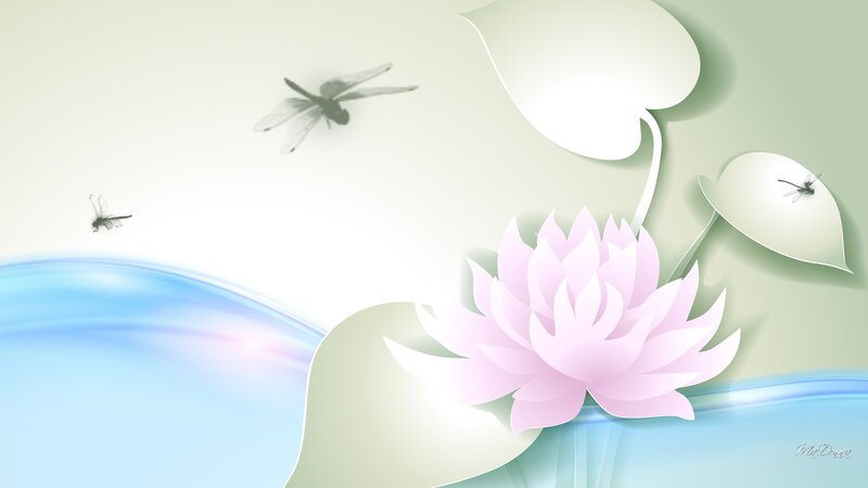 Pink Lotus Flower — Serene, Digital Art, Dragonflies
