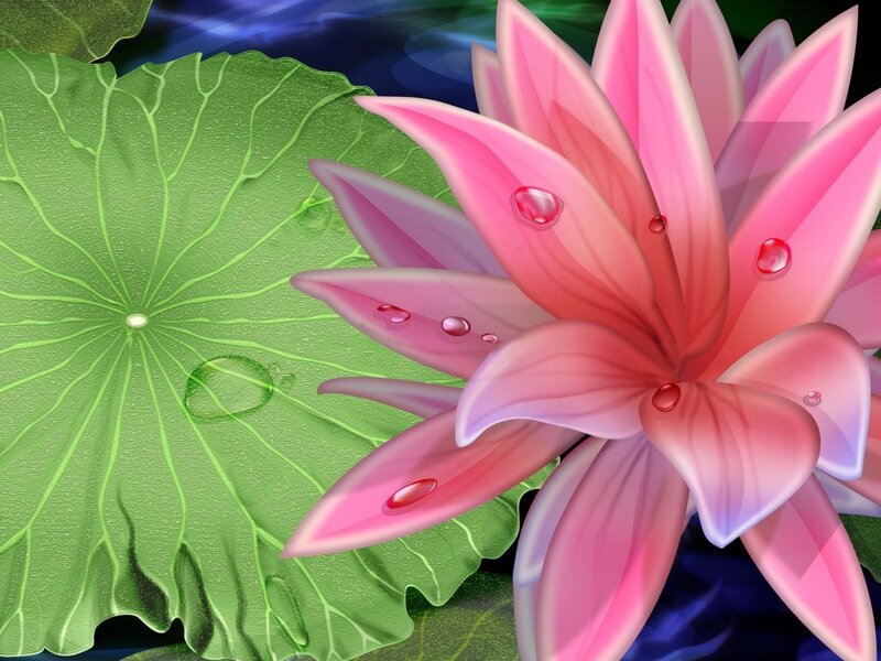 Pink Lotus Flower — Serene, Digital Art, Lotus Leaf