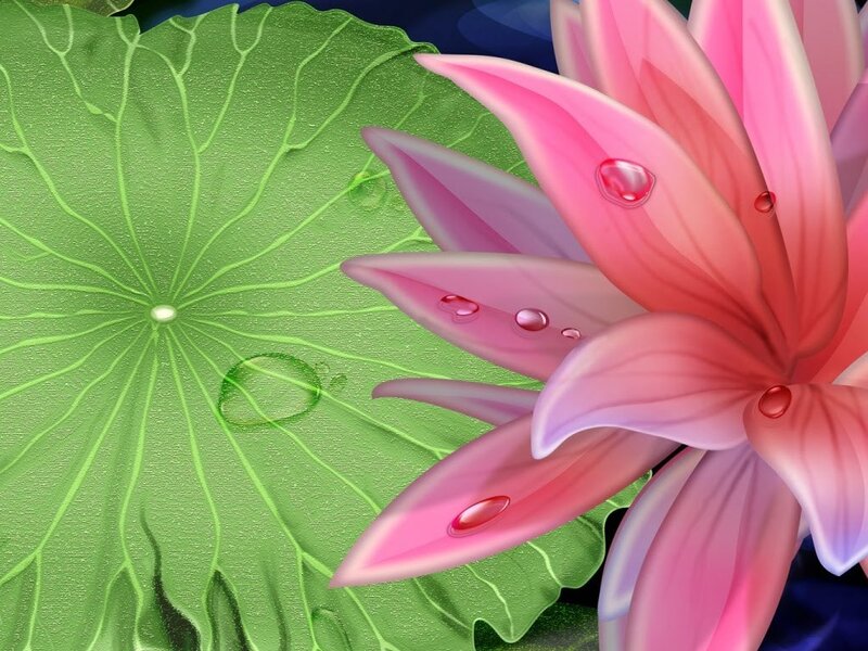 Pink Lotus Flower — Serene, Digital Art