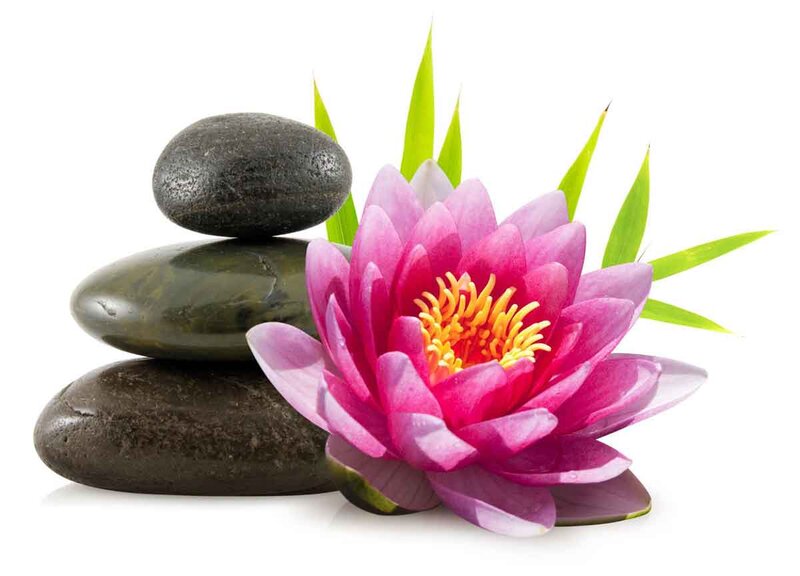 Pink Lotus Flower — Serene, Photograph, Rocks