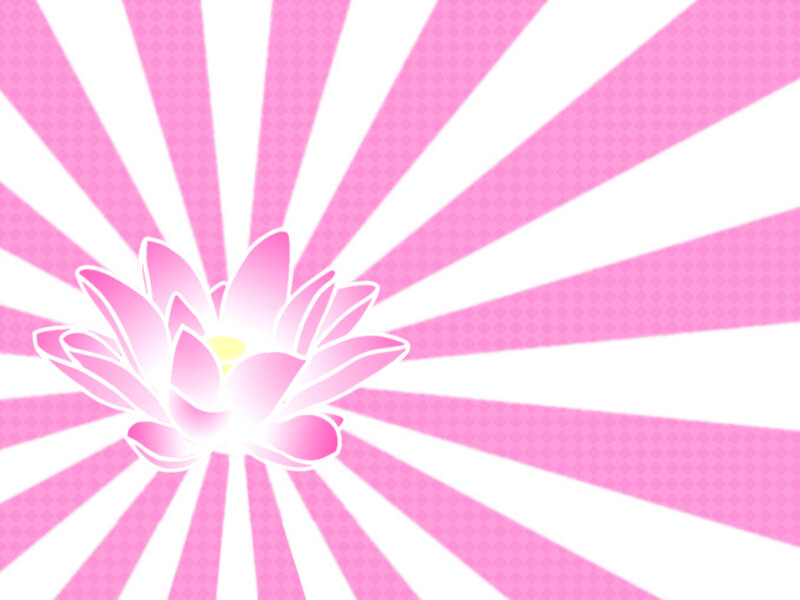 pink lotus flower with sunburst